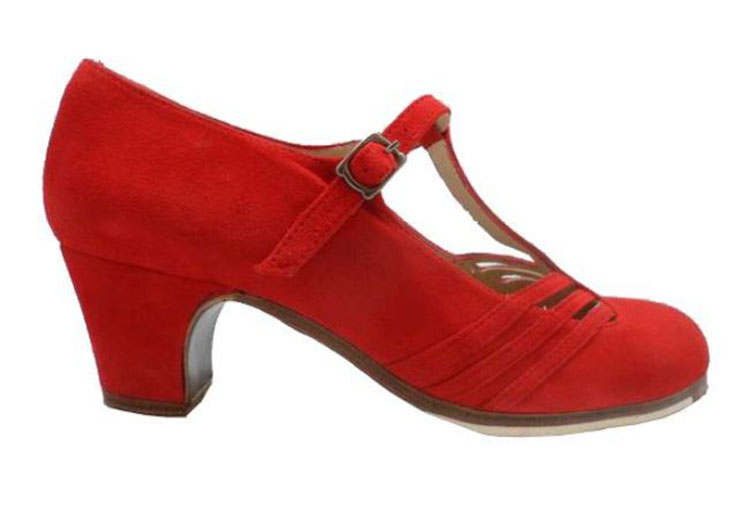 Chaussures de flamenco Begoña Cervera. Class